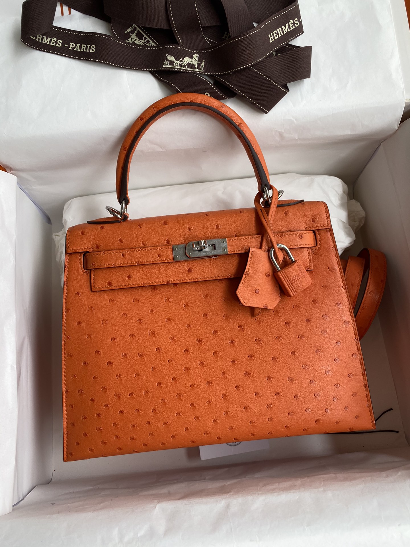 Hermes Kelly 25cm Handbag Shoulder Bag in Orange Ostrich Leather